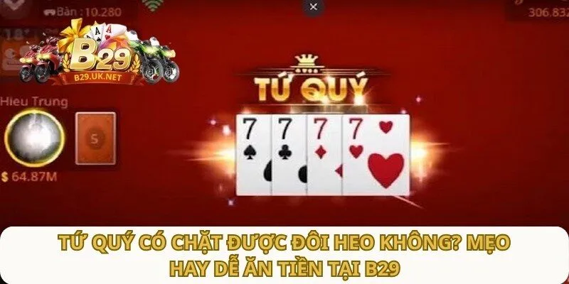 tu-quy-co-chat-duoc-doi-heo-khong-meo-hay-de-an-tien-tai-b29