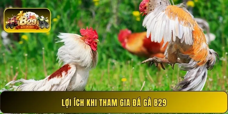 loi-ich-khi-tham-gia-da-ga-b29
